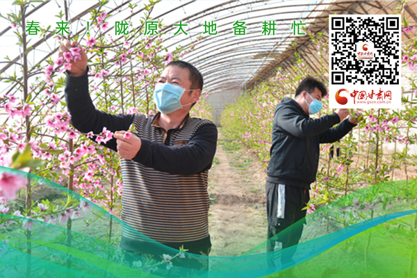 海報丨春來！隴原大地春耕忙