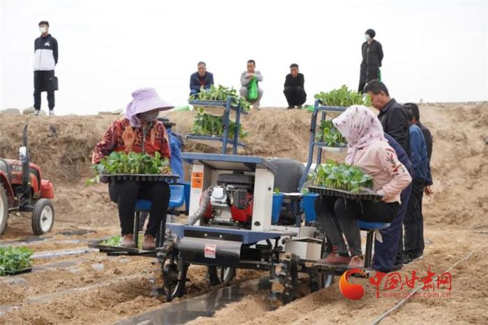 【甘肅省決戰(zhàn)決勝脫貧攻堅】蘭州榆中：推廣機(jī)械化種菜 提升高原夏菜供應(yīng)能力