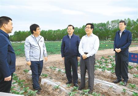 林鐸在天?？h調(diào)研指導脫貧攻堅工作時強調(diào)  拉開架勢持續(xù)用力構(gòu)建扶貧產(chǎn)業(yè)體系 多措并舉固強補弱鞏固提升脫貧成果
