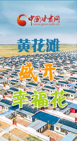【跟著總書記看甘肅】長(zhǎng)圖|武威黃花灘盛開幸?；?
