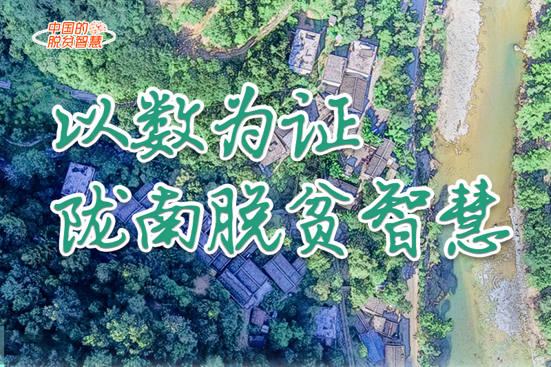 【中國的脫貧智慧】以數(shù)為證！隴南脫貧智慧來了！