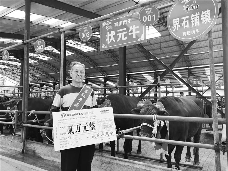120頭“平?jīng)黾t?！膘o寧爭霸