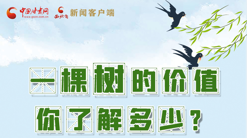 圖解|一棵樹的價(jià)值你了解多少?來看！