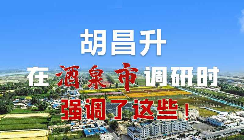 圖解|胡昌升在酒泉市調(diào)研時強調(diào)了這些！
