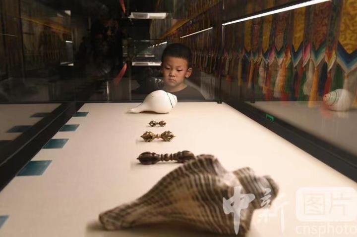 圖為展出的“白海螺法器”吸引小觀眾。 中新社記者 戴文昌 攝