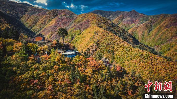 深秋，位于蘭州市榆中縣的興隆山，似打翻調(diào)色板。金峯 攝