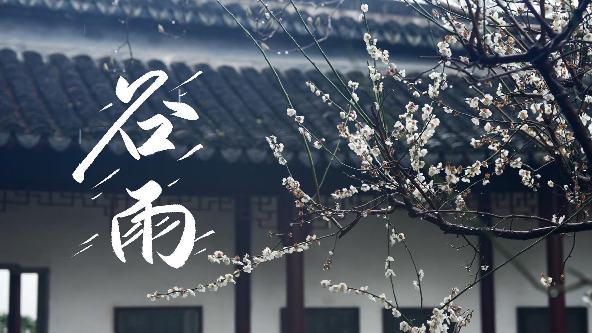 【節(jié)氣里的大美甘肅】谷雨，春天的最后一次回眸