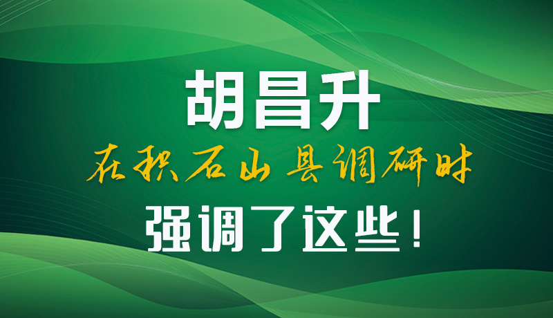 圖解|胡昌升在積石山縣調(diào)研時(shí)強(qiáng)調(diào)了這些！