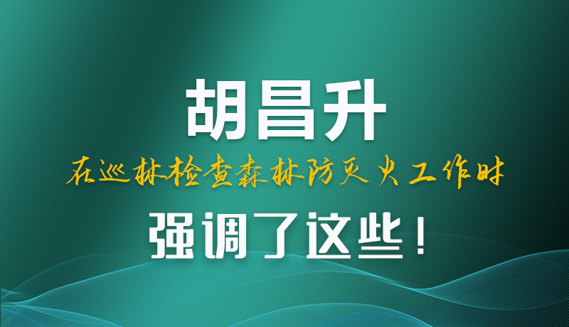 圖解|胡昌升在巡林檢查森林防滅火工作時(shí)強(qiáng)調(diào)了這些！