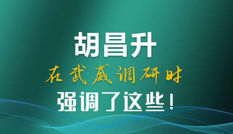 圖解|胡昌升在武威調(diào)研時(shí)強(qiáng)調(diào)了這些！