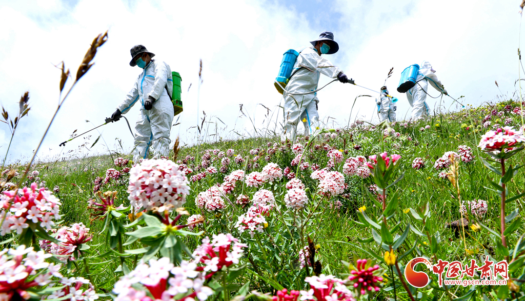 “三北”工程林草濕荒一體化保護修復鏖戰(zhàn)正酣