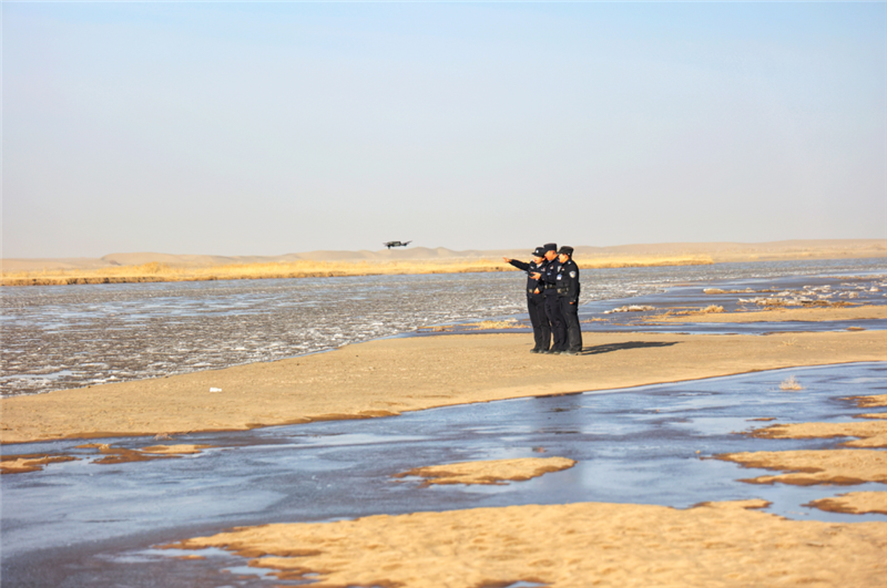 圖說警事：看 柿子熟啦