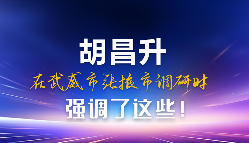 圖解|胡昌升在武威市張掖市調(diào)研時強調(diào)這些！